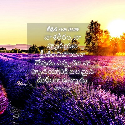 Picture 04 - కీర్తన 73:26 TELIRV - నా శరీరం, నా హృదయం - Bible Verse Picture