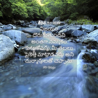 Picture 04 - కీర్తన 75:5 TELIRV - విజయం - Bible Verse Picture