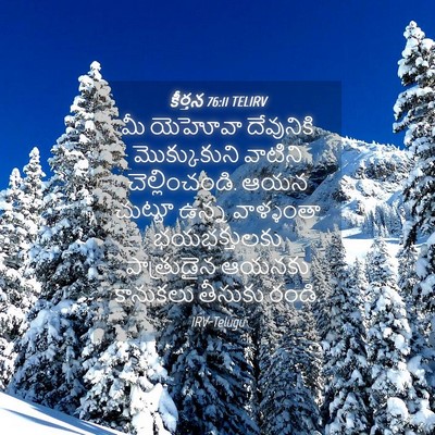 Picture 04 - కీర్తన 76:11 TELIRV - మీ యెహోవా - Bible Verse Picture