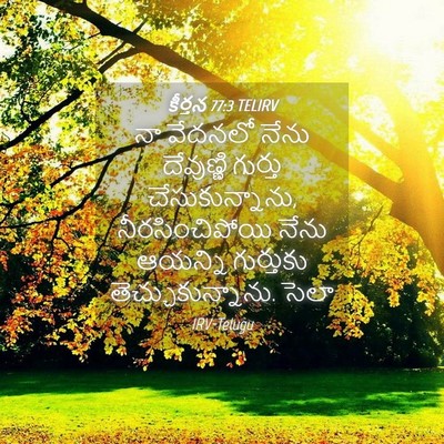 Picture 04 - కీర్తన 77:3 TELIRV - నా వేదనలో నేను - Bible Verse Picture