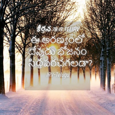 Picture 04 - కీర్తన 78:19 TELIRV - ఈ అరణ్యంలో దేవుడు - Bible Verse Picture