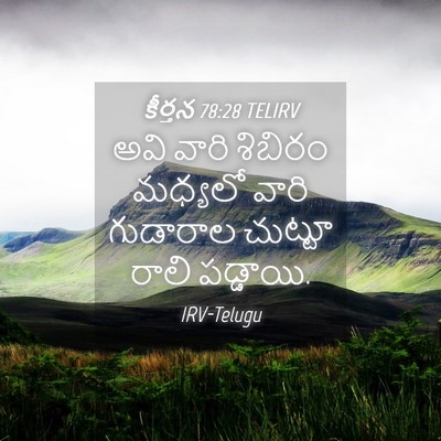 Picture 04 - కీర్తన 78:28 TELIRV - అవి వారి శిబిరం - Bible Verse Picture