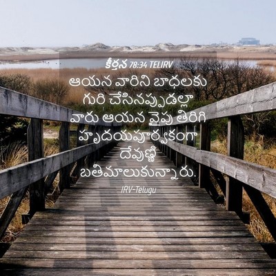 Picture 04 - కీర్తన 78:34 TELIRV - ఆయన వారిని బాధలకు - Bible Verse Picture