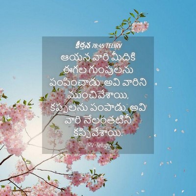 Picture 04 - కీర్తన 78:45 TELIRV - ఆయన వారి మీదికి - Bible Verse Picture