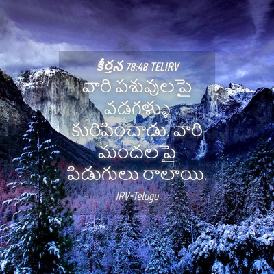 Picture 04 - కీర్తన 78:48 TELIRV - వారి పశువులపై - Bible Verse Picture