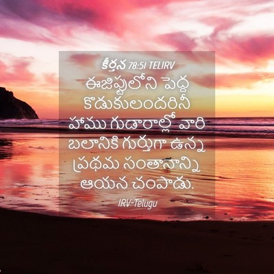 Picture 04 - కీర్తన 78:51 TELIRV - ఈజిప్టులోని పెద్ద - Bible Verse Picture