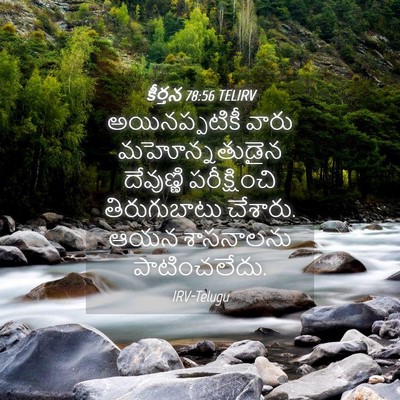 Picture 04 - కీర్తన 78:56 TELIRV - అయినప్పటికీ వారు - Bible Verse Picture