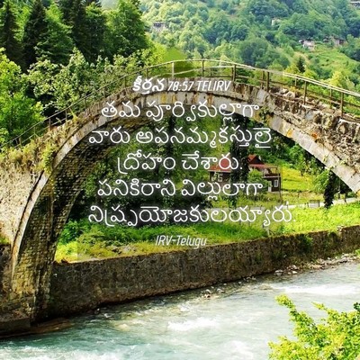 Picture 04 - కీర్తన 78:57 TELIRV - తమ పూర్వికుల్లాగా - Bible Verse Picture