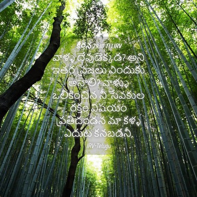 Picture 04 - కీర్తన 79:10 TELIRV - వాళ్ళ దేవుడెక్కడ? - Bible Verse Picture