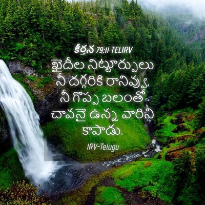 Picture 04 - కీర్తన 79:11 TELIRV - ఖైదీల - Bible Verse Picture