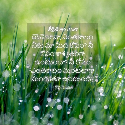 Picture 04 - కీర్తన 79:5 TELIRV - యెహోవా, ఎంతకాలం - Bible Verse Picture