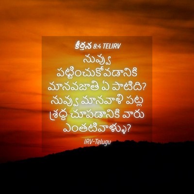 Picture 04 - కీర్తన 8:4 TELIRV - నువ్వు - Bible Verse Picture