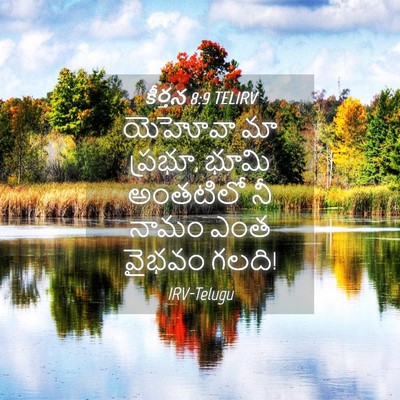 Picture 04 - కీర్తన 8:9 TELIRV - యెహోవా మా ప్రభూ, - Bible Verse Picture
