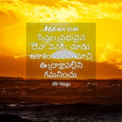 Picture 04 - కీర్తన 80:14 TELIRV - సేనల ప్రభువైన - Bible Verse Picture