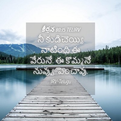 Picture 04 - కీర్తన 80:15 TELIRV - నీ కుడిచెయ్యి - Bible Verse Picture