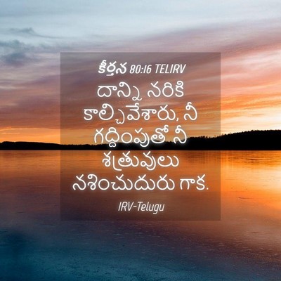 Picture 04 - కీర్తన 80:16 TELIRV - దాన్ని నరికి - Bible Verse Picture