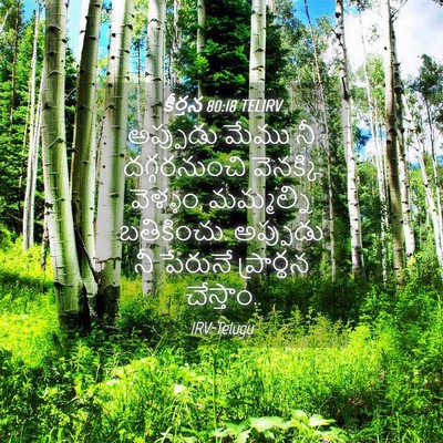 Picture 04 - కీర్తన 80:18 TELIRV - అప్పుడు మేము నీ - Bible Verse Picture
