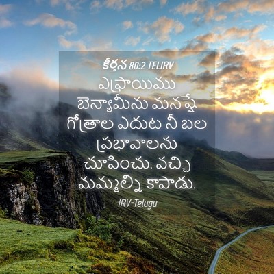 Picture 04 - కీర్తన 80:2 TELIRV - ఎఫ్రాయిము - Bible Verse Picture