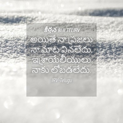 Picture 04 - కీర్తన 81:11 TELIRV - అయితే నా ప్రజలు నా - Bible Verse Picture