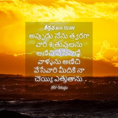 Picture 04 - కీర్తన 81:14 TELIRV - అప్పుడు నేను - Bible Verse Picture