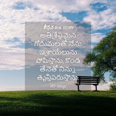 Picture 04 - కీర్తన 81:16 TELIRV - అతిశ్రేష్ఠమైన - Bible Verse Picture