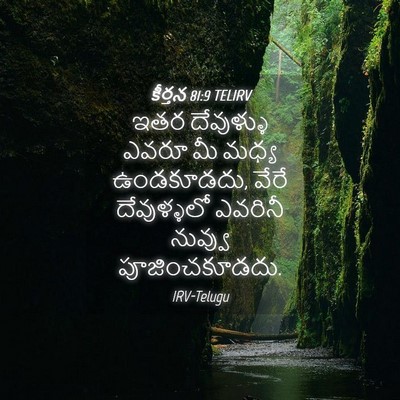 Picture 04 - కీర్తన 81:9 TELIRV - ఇతర దేవుళ్ళు ఎవరూ - Bible Verse Picture