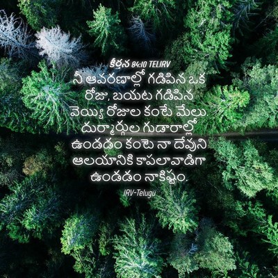 Picture 04 - కీర్తన 84:10 TELIRV - నీ ఆవరణాల్లో - Bible Verse Picture