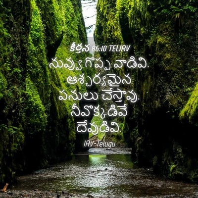 Picture 04 - కీర్తన 86:10 TELIRV - నువ్వు గొప్ప - Bible Verse Picture