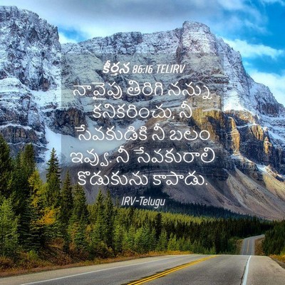 Picture 04 - కీర్తన 86:16 TELIRV - నావైపు తిరిగి - Bible Verse Picture