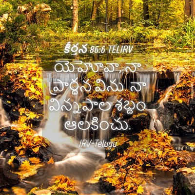Picture 04 - కీర్తన 86:6 TELIRV - యెహోవా, నా - Bible Verse Picture