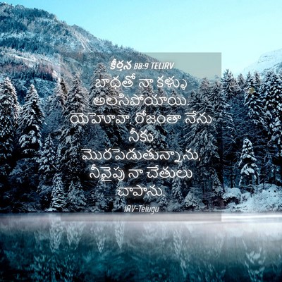 Picture 04 - కీర్తన 88:9 TELIRV - బాధతో నా కళ్ళు - Bible Verse Picture