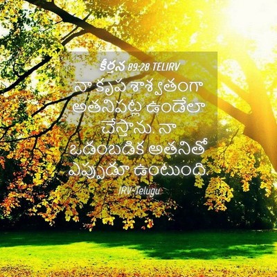 Picture 04 - కీర్తన 89:28 TELIRV - నా కృప శాశ్వతంగా - Bible Verse Picture