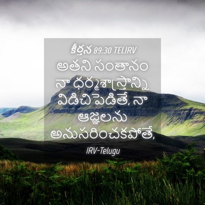 Picture 04 - కీర్తన 89:30 TELIRV - అతని సంతానం నా - Bible Verse Picture
