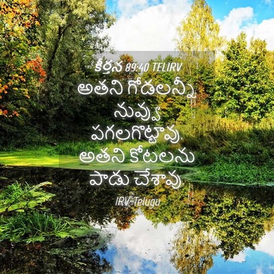 Picture 04 - కీర్తన 89:40 TELIRV - అతని గోడలన్నీ - Bible Verse Picture