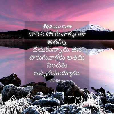 Picture 04 - కీర్తన 89:41 TELIRV - దారిన - Bible Verse Picture