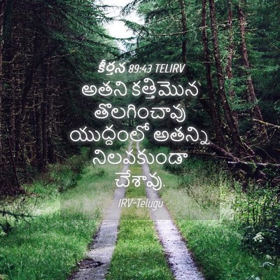 Picture 04 - కీర్తన 89:43 TELIRV - అతని కత్తిమొన - Bible Verse Picture