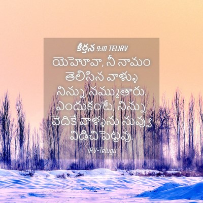 Picture 04 - కీర్తన 9:10 TELIRV - యెహోవా, నీ నామం - Bible Verse Picture