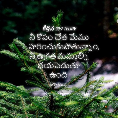 Picture 04 - కీర్తన 90:7 TELIRV - నీ కోపం చేత మేము - Bible Verse Picture