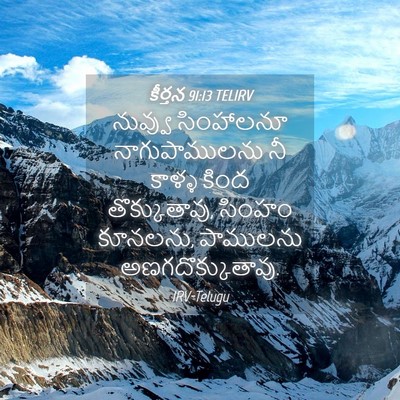 Picture 04 - కీర్తన 91:13 TELIRV - నువ్వు సింహాలనూ - Bible Verse Picture