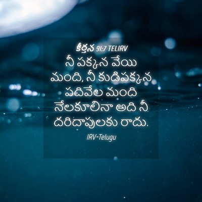 Picture 04 - కీర్తన 91:7 TELIRV - నీ పక్కన వేయి మంది, - Bible Verse Picture