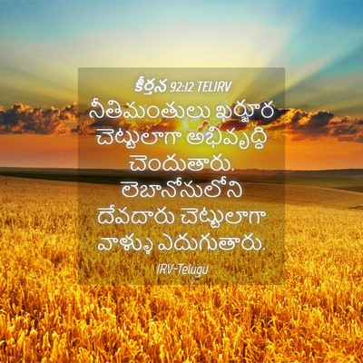 Picture 04 - కీర్తన 92:12 TELIRV - నీతిమంతులు ఖర్జూర - Bible Verse Picture