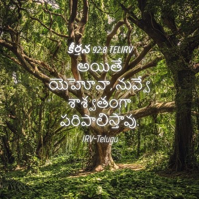 Picture 04 - కీర్తన 92:8 TELIRV - అయితే యెహోవా, - Bible Verse Picture