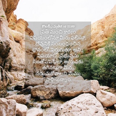 Picture 04 - కొలస్సీ పత్రిక 1:10 TELIRV - ప్రతి మంచి కార్యం - Bible Verse Picture