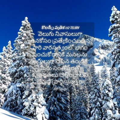 Picture 04 - కొలస్సీ పత్రిక 1:12 TELIRV - వెలుగు నివాసులుగా - Bible Verse Picture
