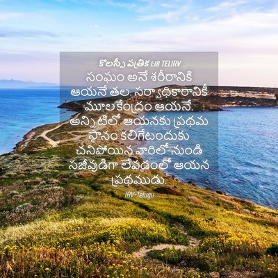 Picture 04 - కొలస్సీ పత్రిక 1:18 TELIRV - సంఘం అనే - Bible Verse Picture