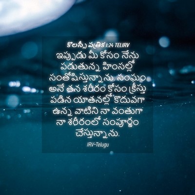 Picture 04 - కొలస్సీ పత్రిక 1:24 TELIRV - ఇప్పుడు మీ కోసం - Bible Verse Picture