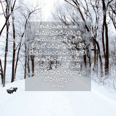 Picture 04 - కొలస్సీ పత్రిక 1:28 TELIRV - మేము - Bible Verse Picture
