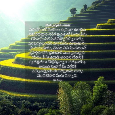 Picture 04 - కొలస్సీ పత్రిక 1:3 TELIRV - పరలోకంలో మీకోసం - Bible Verse Picture