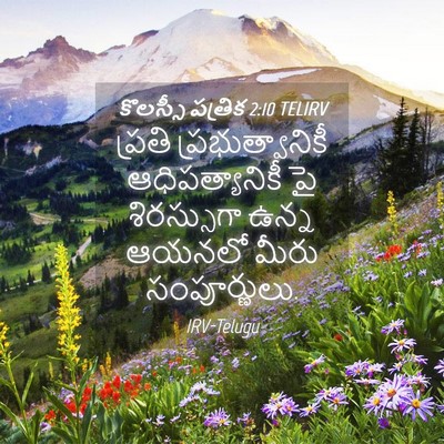 Picture 04 - కొలస్సీ పత్రిక 2:10 TELIRV - ప్రతి - Bible Verse Picture