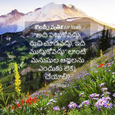 Picture 04 - కొలస్సీ పత్రిక 2:21 TELIRV - “అది - Bible Verse Picture